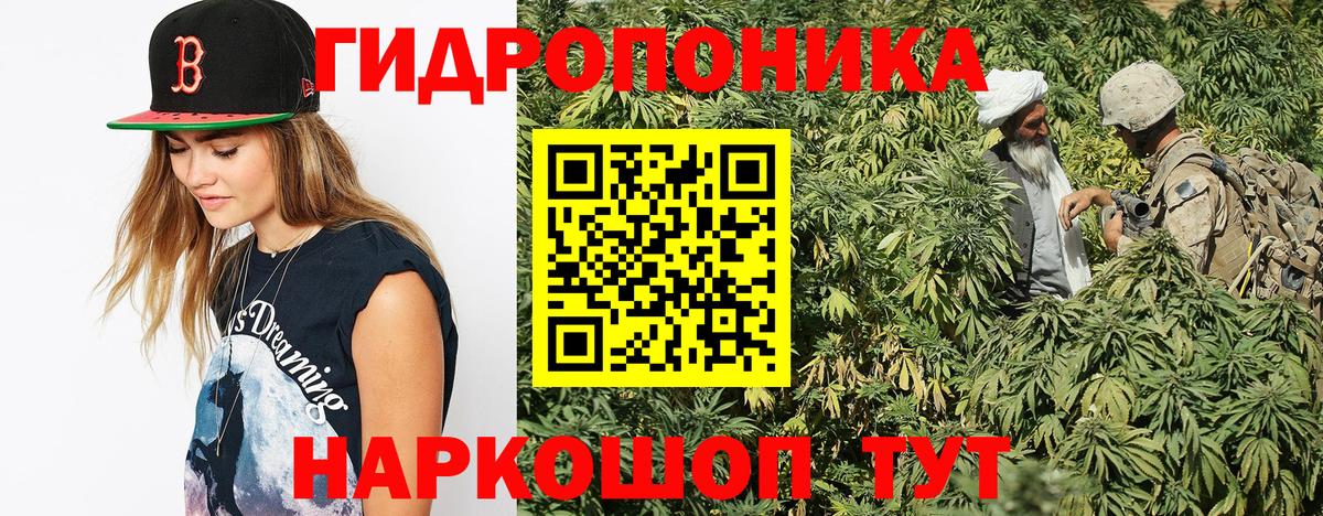 Бошки Шишки AK-47 Славянск-на-Кубани